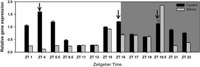 More Light Please: Daphnia Benefit From <mark class="highlighted">Light Pollution</mark> by Increased Tolerance Toward Cyanobacterial Chymotrypsin Inhibitors